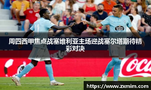 VSport官网入口vsport体育在线官网